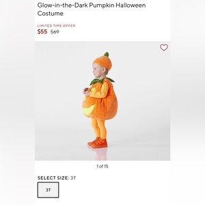 Pottery Barn Kids Glow-in-the-Dark Pumpkin Halloween Costume